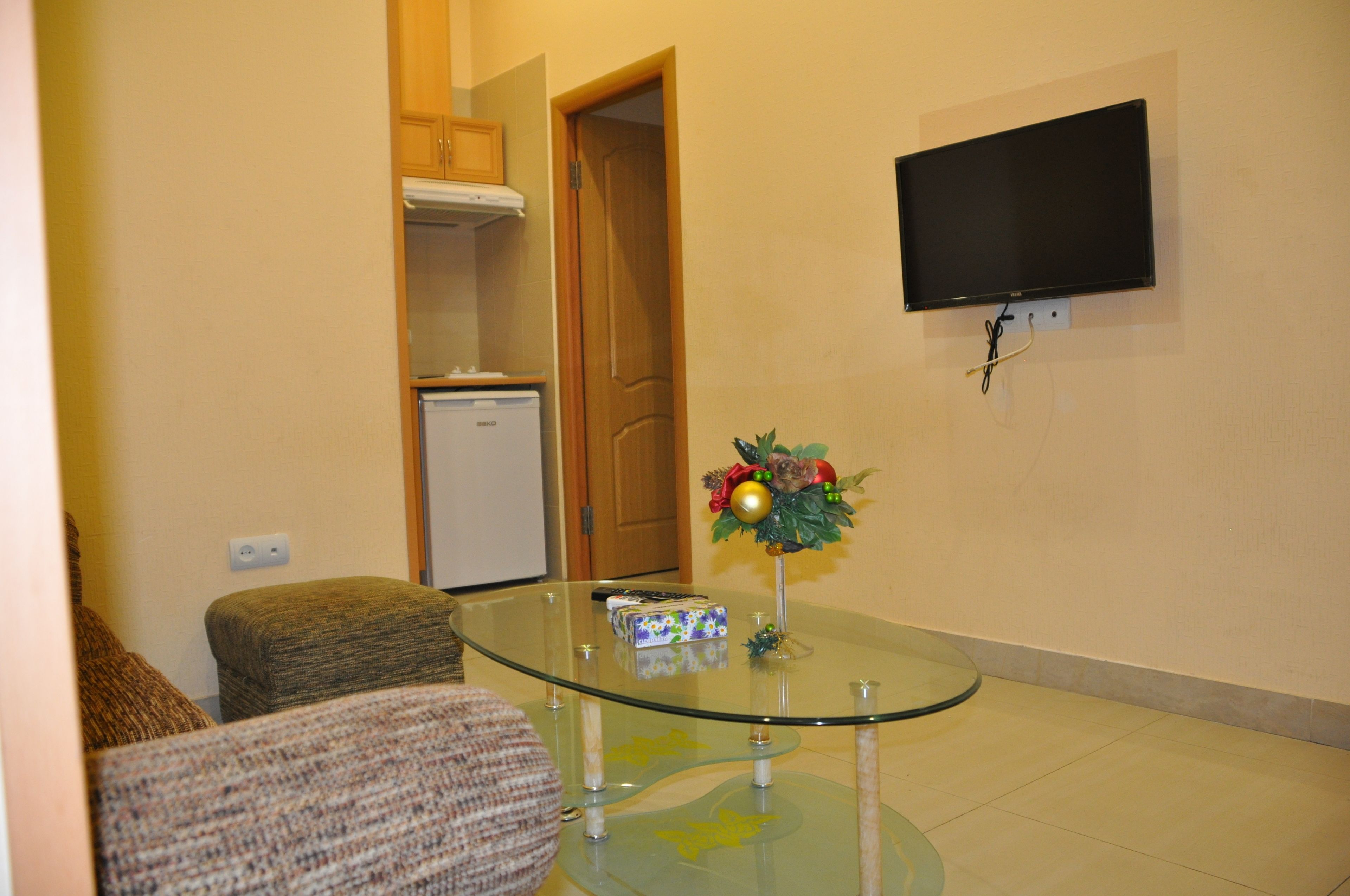 basic apartment | living area | flat-screen tv
