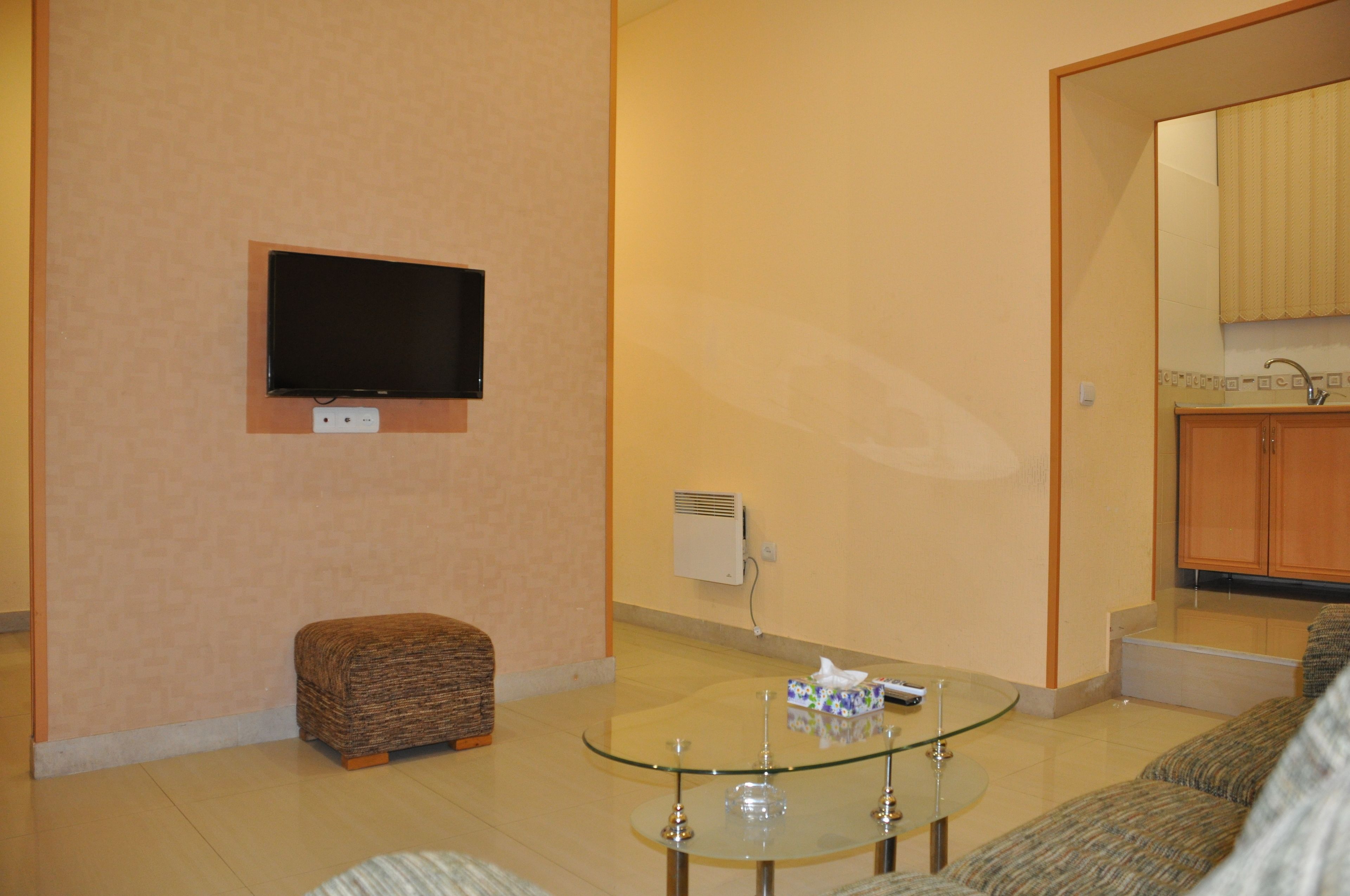 basic apartment | living area | flat-screen tv