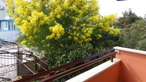 Un balcón con barandilla, un árbol florecido de color amarillo y un edificio con detalles azules al fondo.