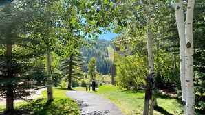 Unclassified image, 5 of 69, button - Cozy Townhome walk to River Run, Dining, Shops (Keystone)