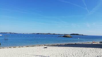 Plage, chaises longues