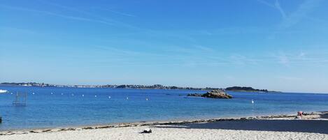 Plage, chaises longues