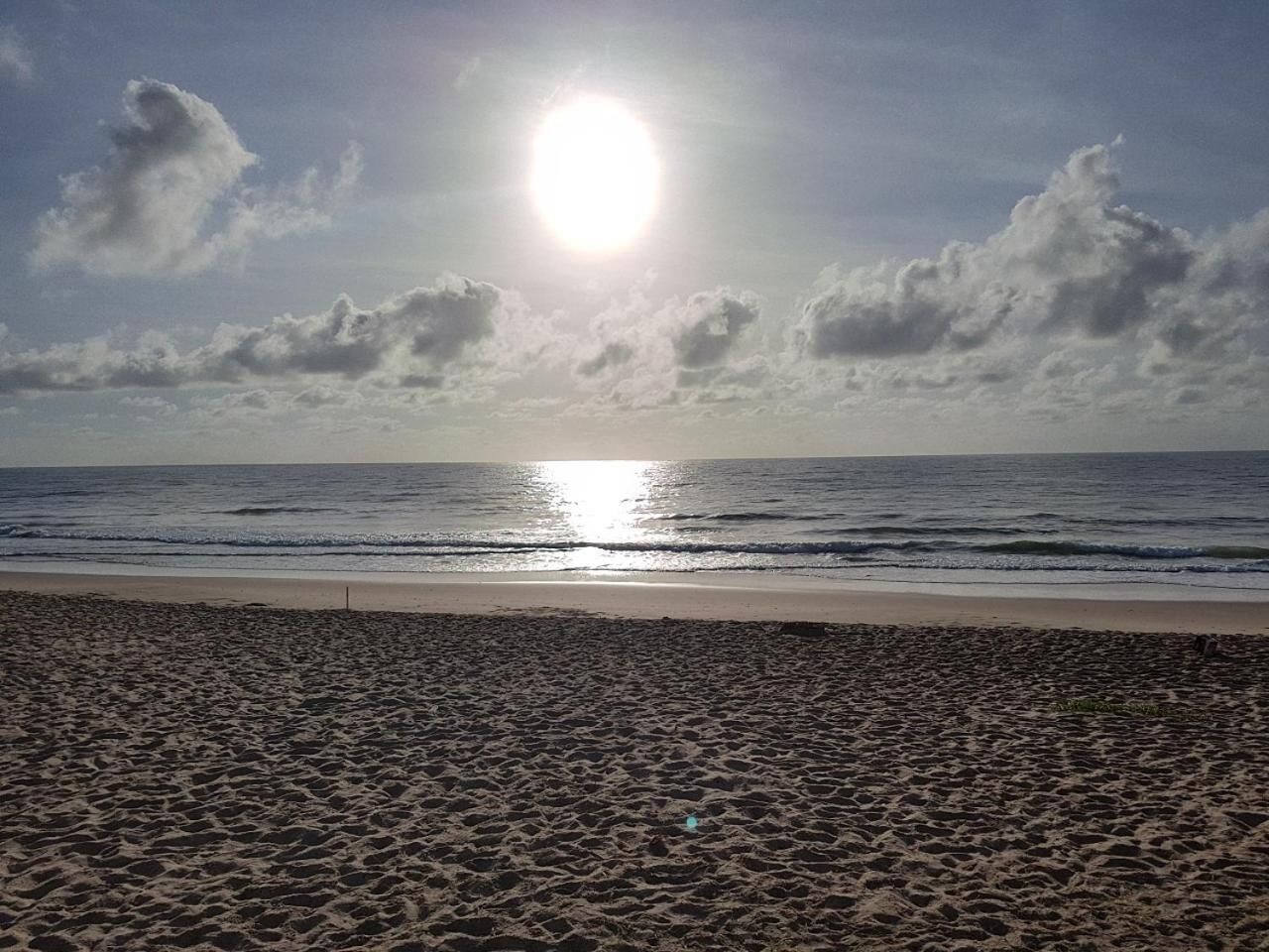 Une plage avec un rivage sablonneux et l’océan.