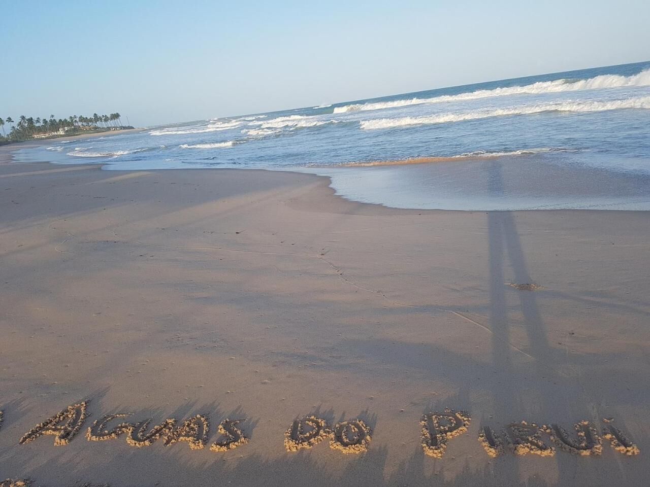 Uma praia com pegadas que levam à água e palmeiras ao fundo.