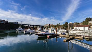 Marina
