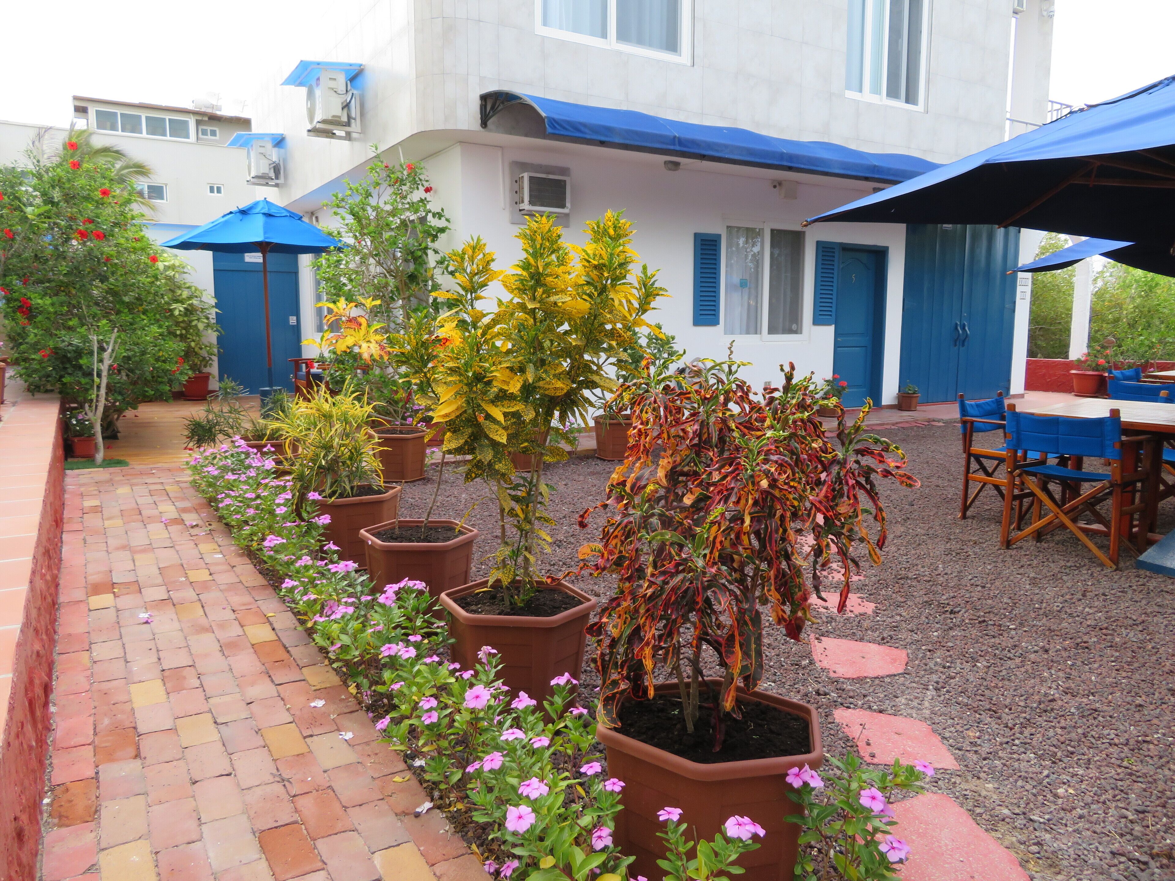 A courtyard with potted plants and outdoor seating.
