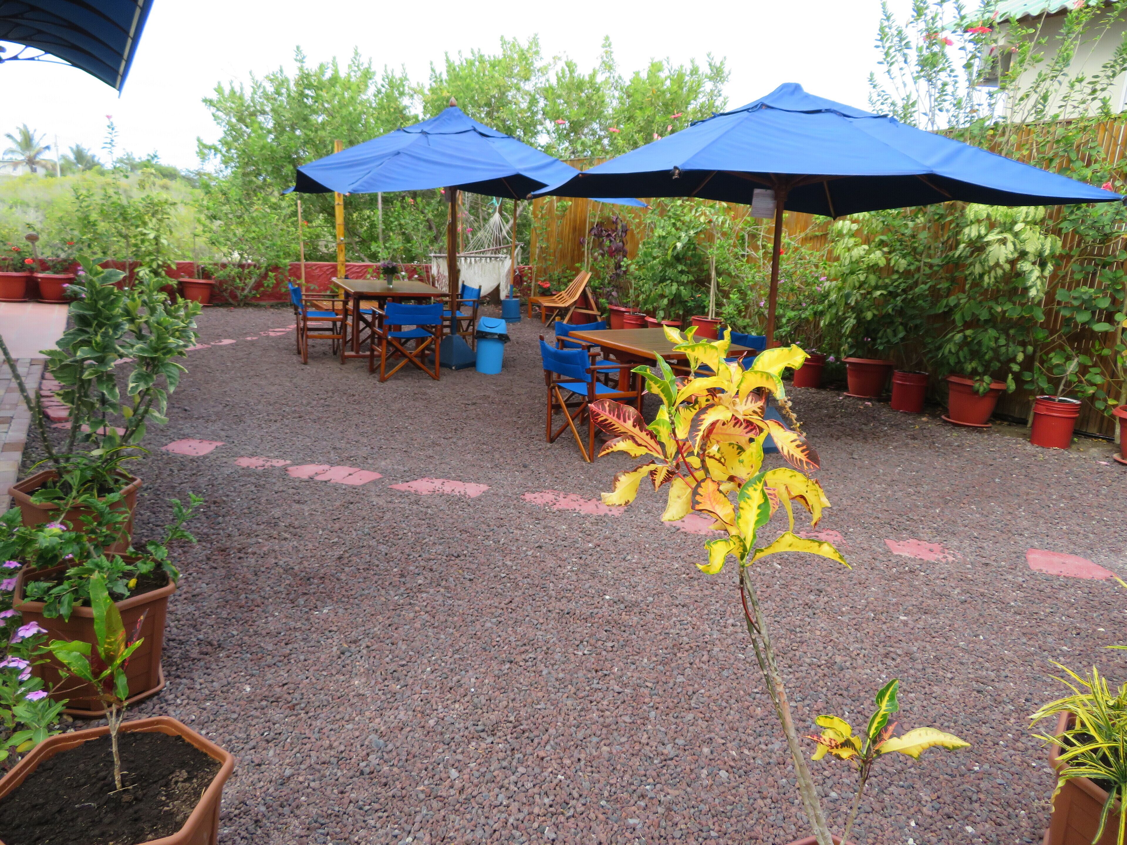 Un patio al aire libre con suelo de grava, mesas y sillas de madera y plantas en macetas.
