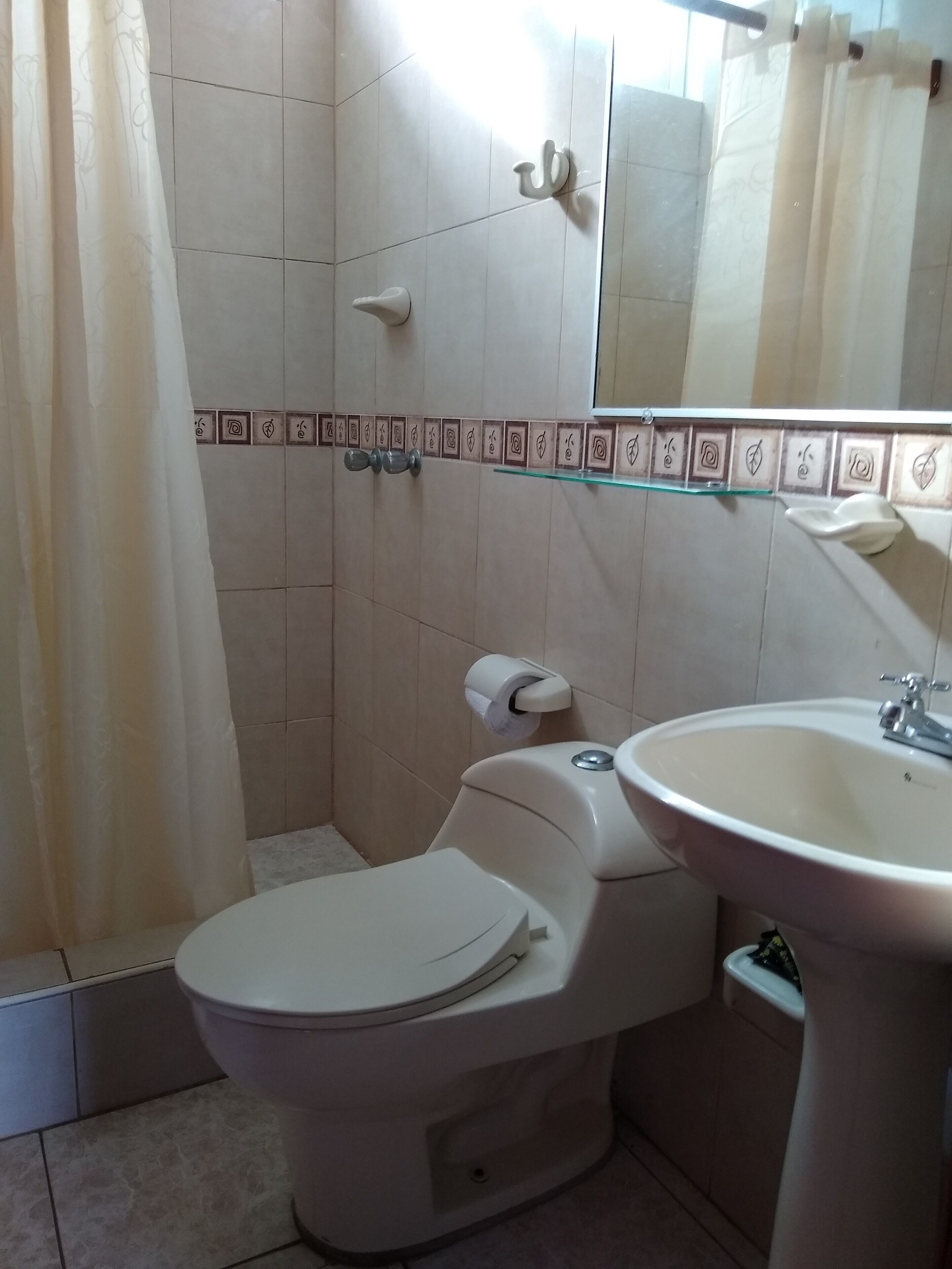 A bathroom with a toilet, sink, and shower area.