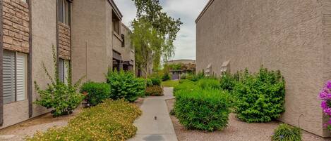 A narrow pathway flanked by buildings with stone accents and lush greenery.