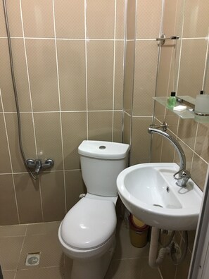 Dusche, Hydromassagedusche, Haartrockner, Handtücher