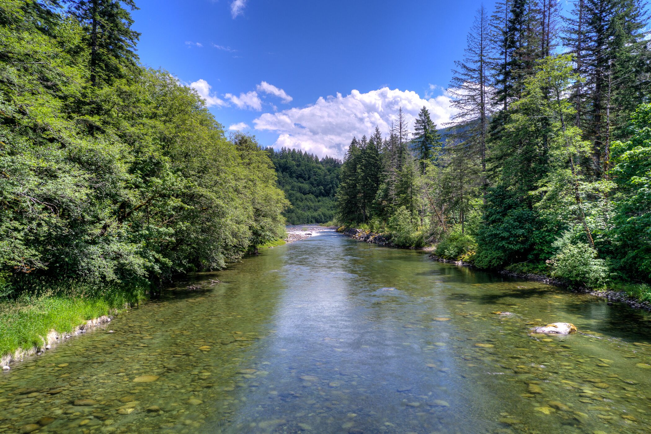Ein klarer Fluss, umgeben von dichtem Wald und Bergen.