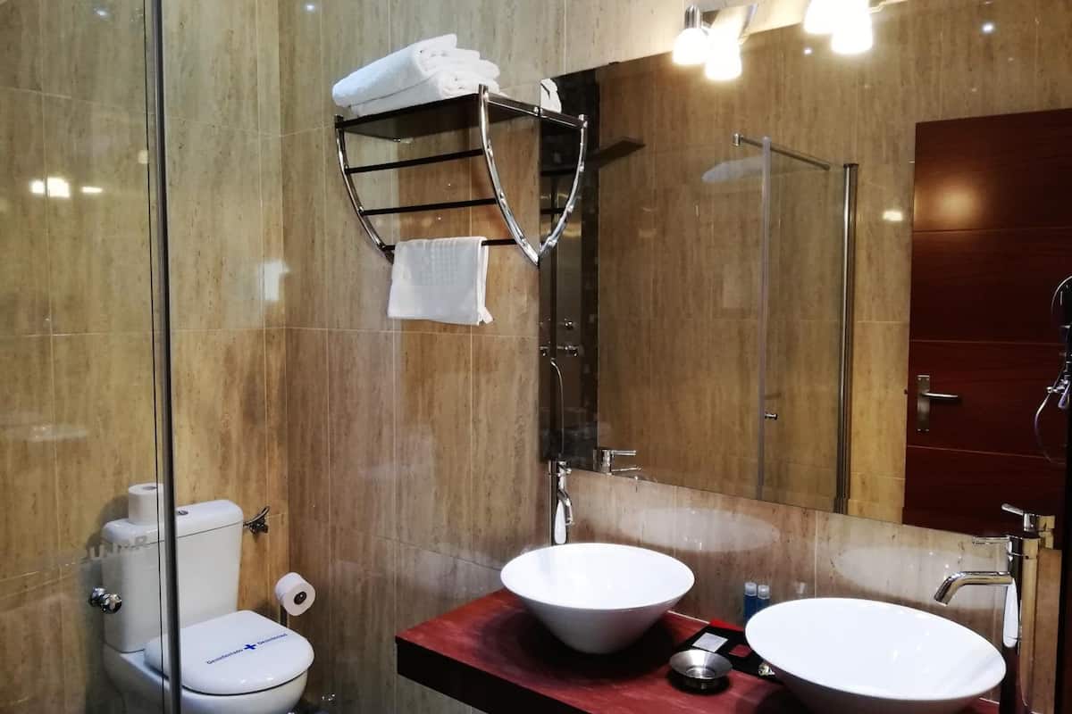 shower, free toiletries, hair dryer, towels