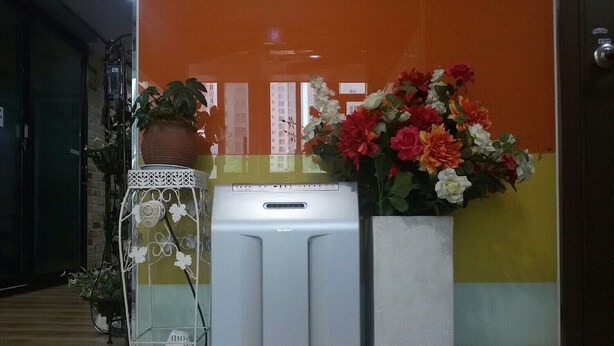 A room with a white appliance, a potted plant, and a large flower arrangement. - Jukjeon Guesthouse iwantlivingtel (Yongin)