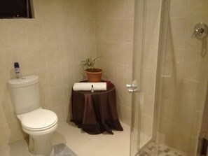 Douche, douche à « effet pluie », sèche-cheveux, serviettes fournies