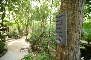 Jardí