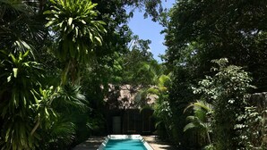 A rectangular swimming pool with a wooden deck in the foreground, surrounded by lush greenery and a stone wall in the background. - La Aldea Cancún (Cancun)