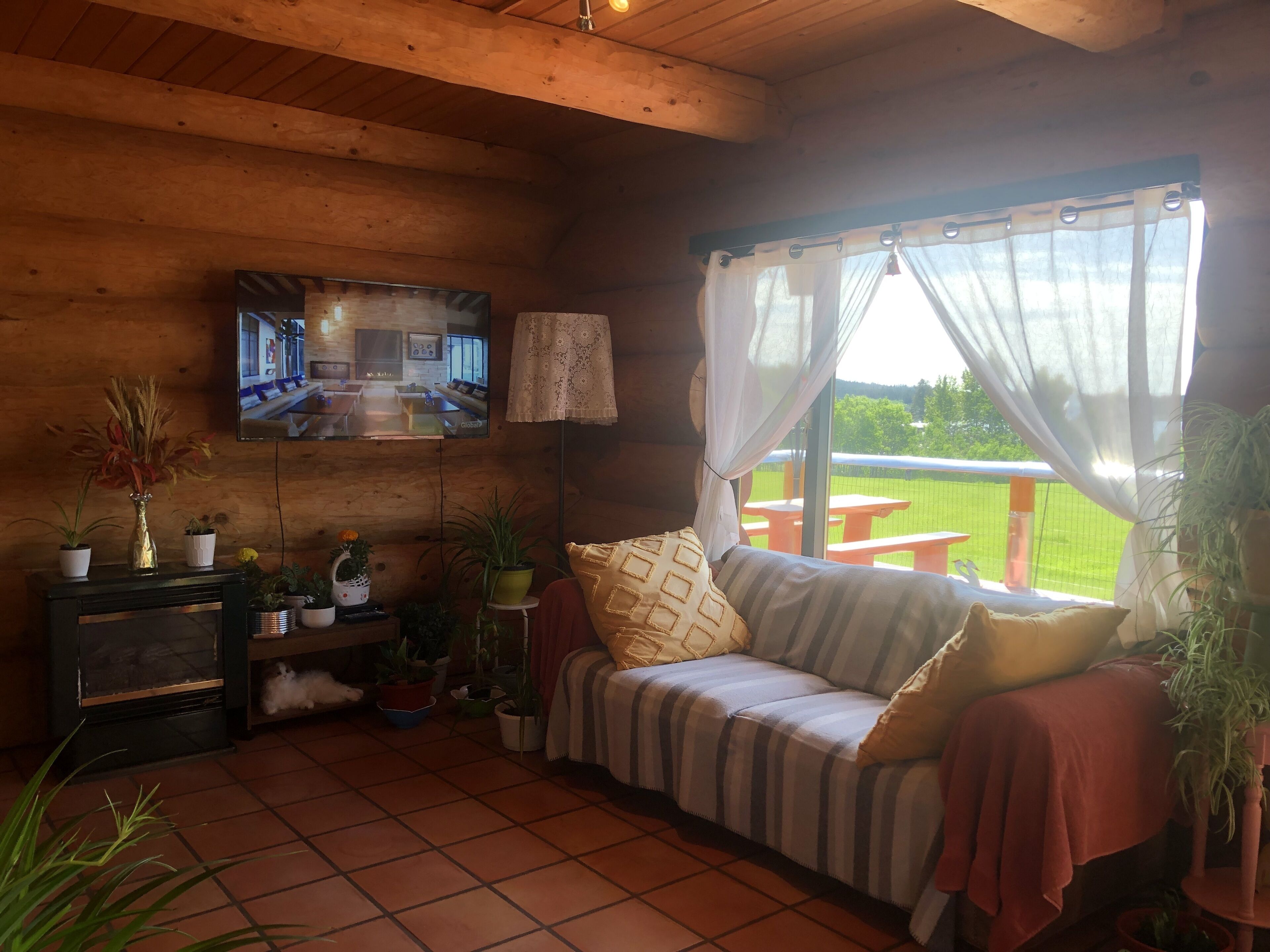 L’intérieur d’un chalet accueillant, avec un plafond en bois, un canapé recouvert d’une couverture, un téléviseur fixé au mur et une fenêtre ornée de rideaux légers.