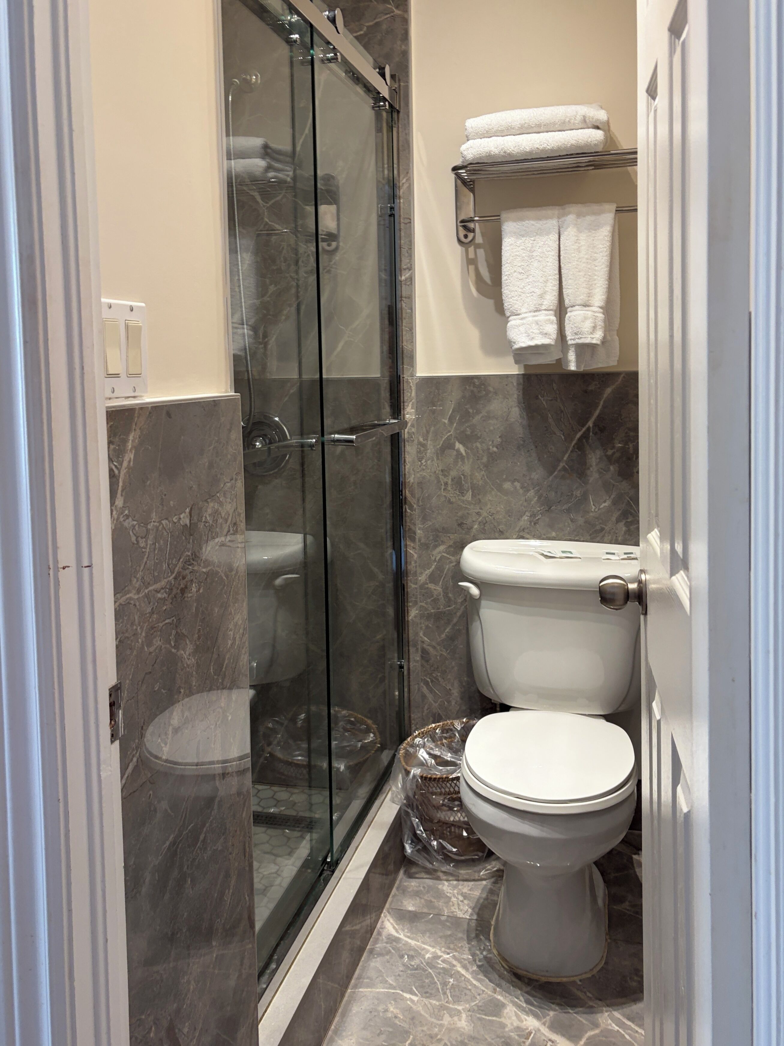 A bathroom with a glass-enclosed shower, a toilet, and a towel rack.