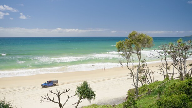 A beach with clear turquoise water, a sandy shore, and sparse vegetation.