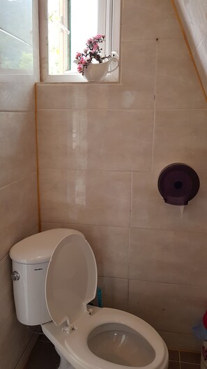 Shower, free toiletries, hair dryer, towels