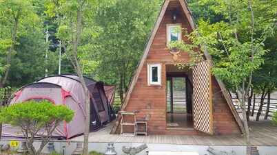 Treasure Island Pension