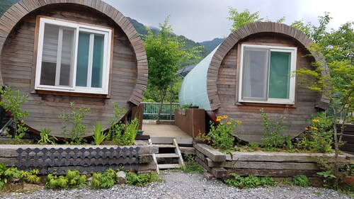 Treasure Island Pension