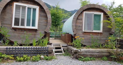 Treasure Island Pension