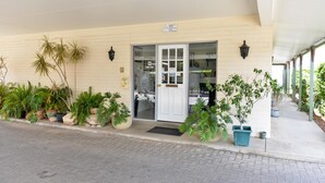 A hotel entrance with a white door, potted plants, and a tiled pavement. - Pioneer Motel (Goondiwindi)