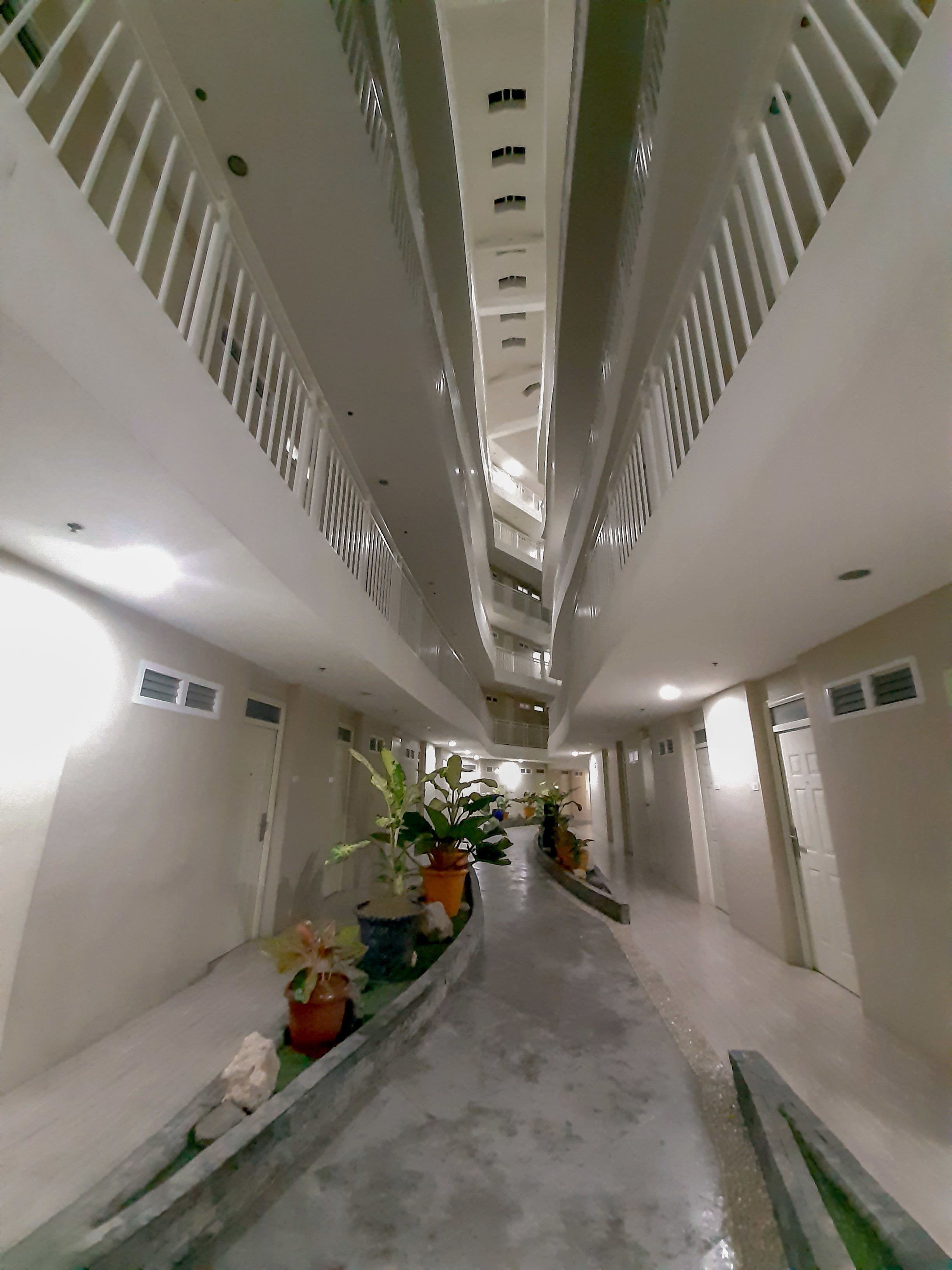 Un long couloir étroit aux murs blancs, avec un grand bac à plantes placé au centre, contenant différentes espèces végétales.