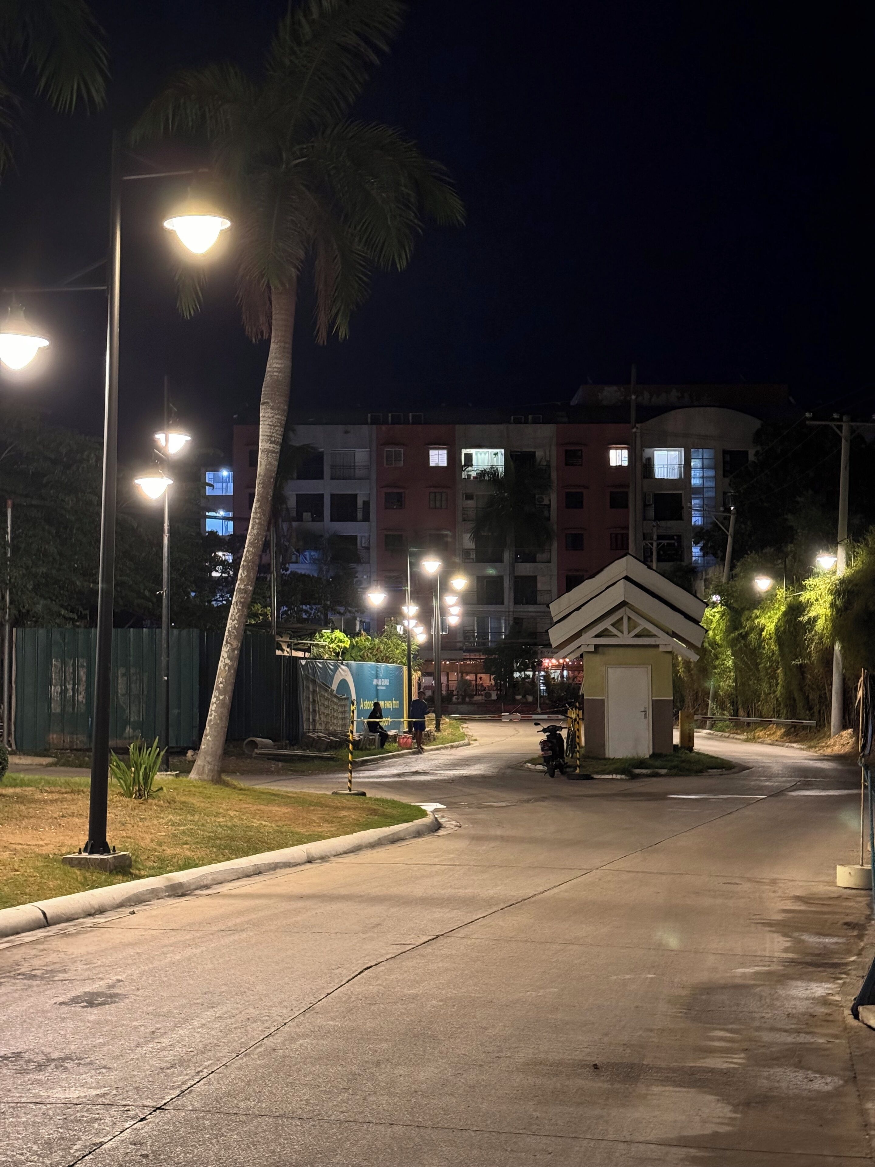 Escena nocturna d'un carrer amb fanals, una palmera i un edifici al fons.