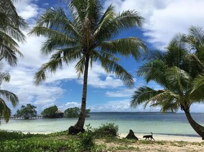 Nær stranden og hvit sand