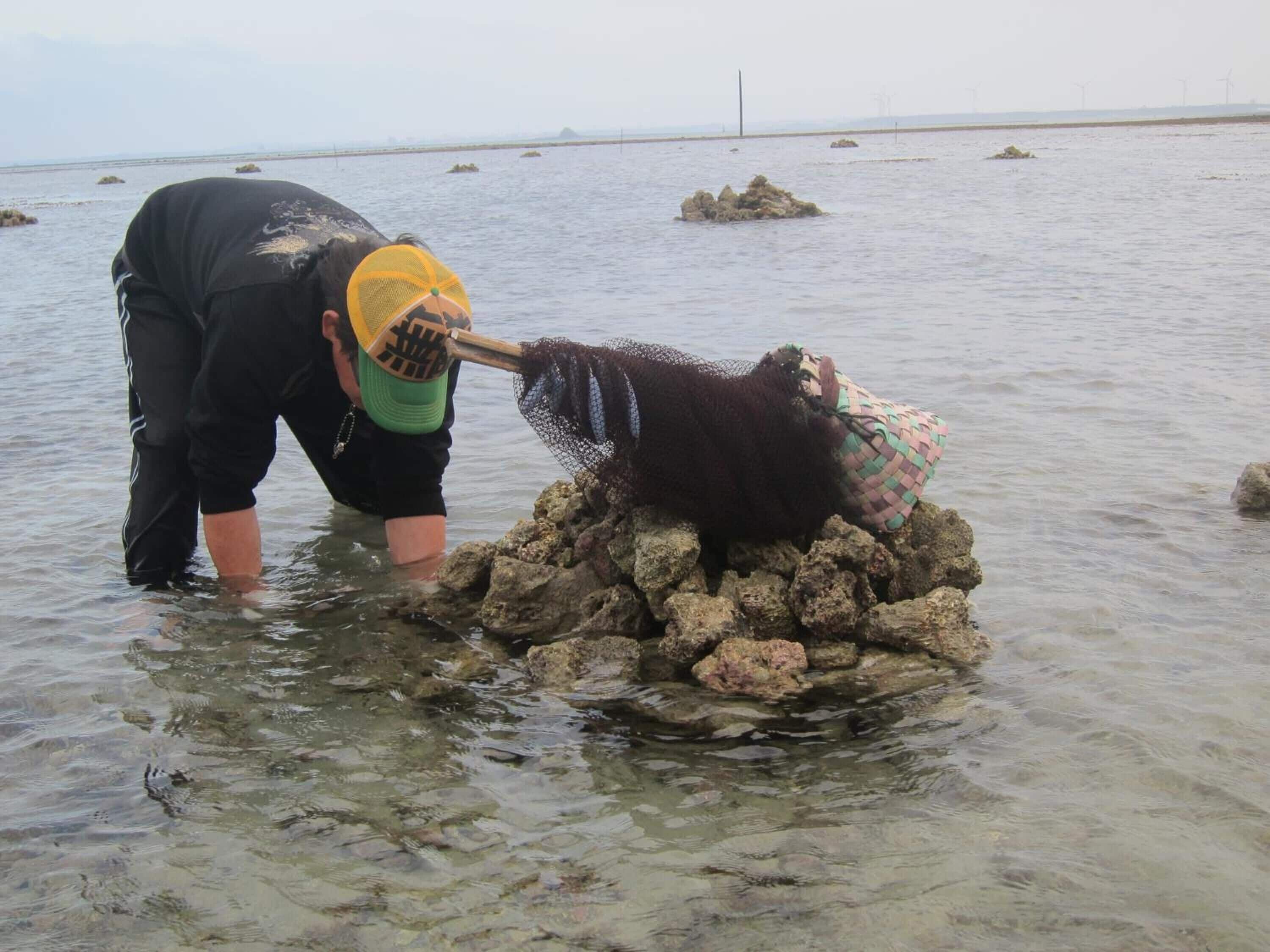 長堤特色民宿評價、特色體驗、房價資訊、訂房連結 – 市區便利與親切服務 - 照片 19