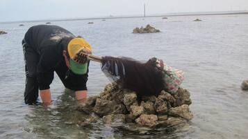 A person in a wetland area, using a net to catch a fish.
