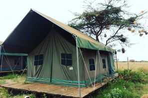 帳篷 | 書桌、床單