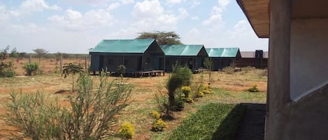 Tent | Desk, bed sheets