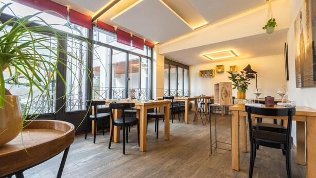 Un comedor moderno con mesas y sillas de madera, ventanas amplias con cortinas rojas y una planta colgante.