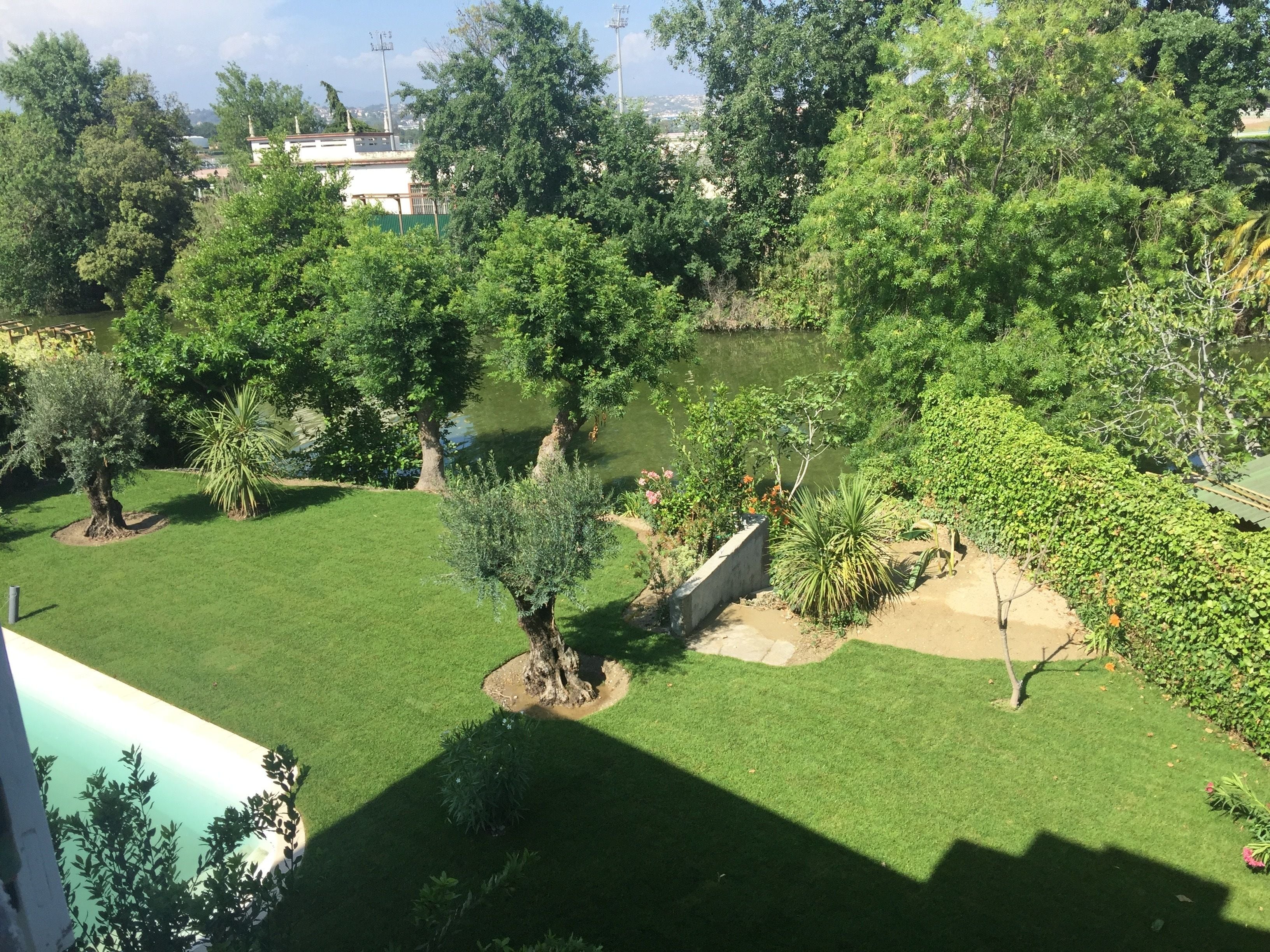 A well-maintained garden with various trees and a lawn, surrounded by a low wall.
