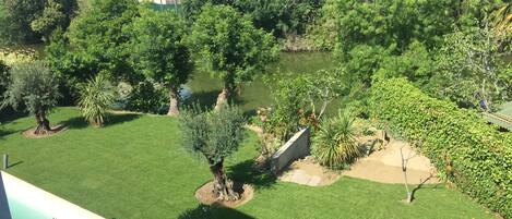 A well-maintained garden with various trees and a lawn, surrounded by a low wall.