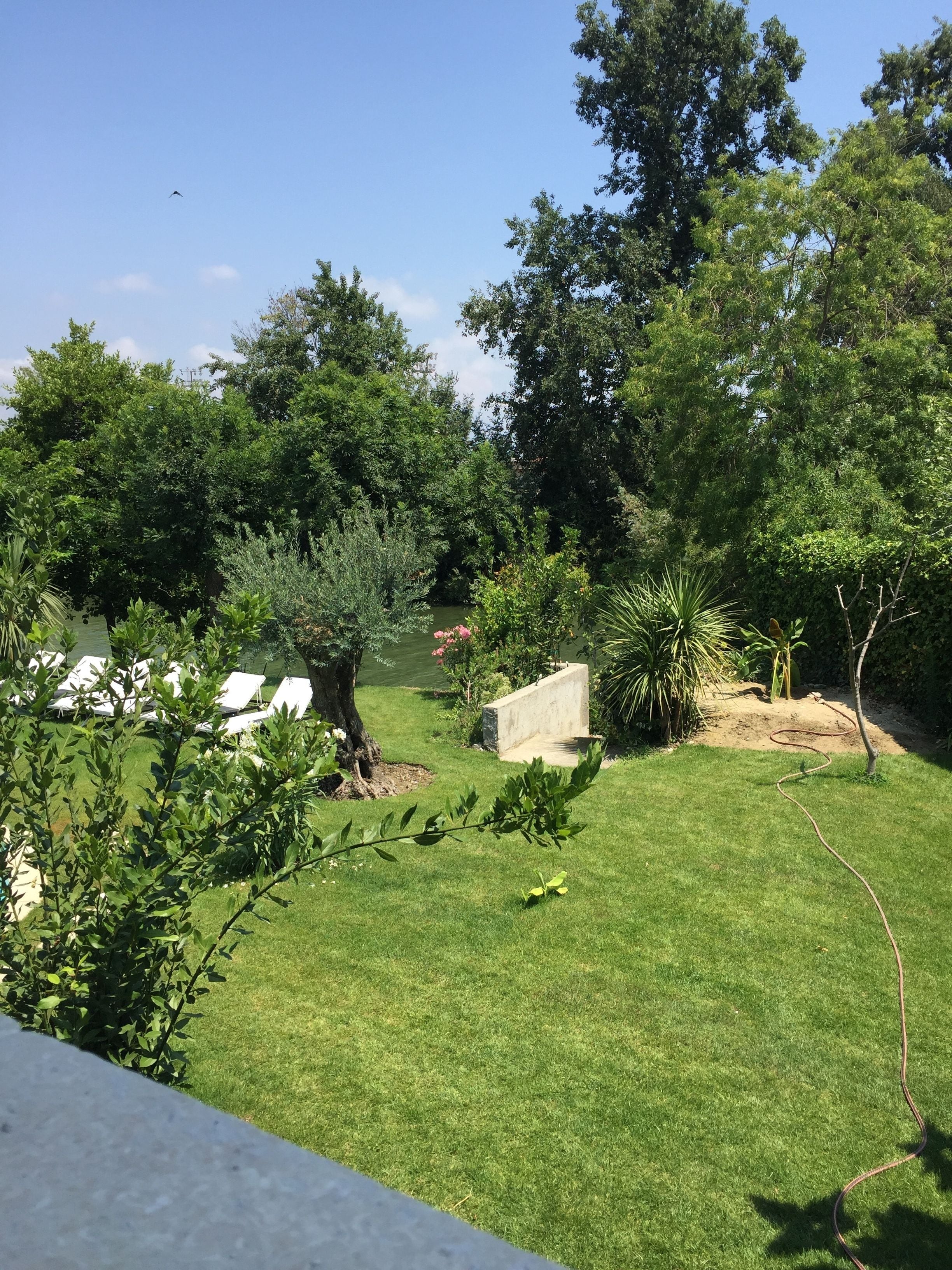 Un jardí ben cuidat amb diverses plantes i arbustos, una construcció de formigó i una zona verda amb una manguera.