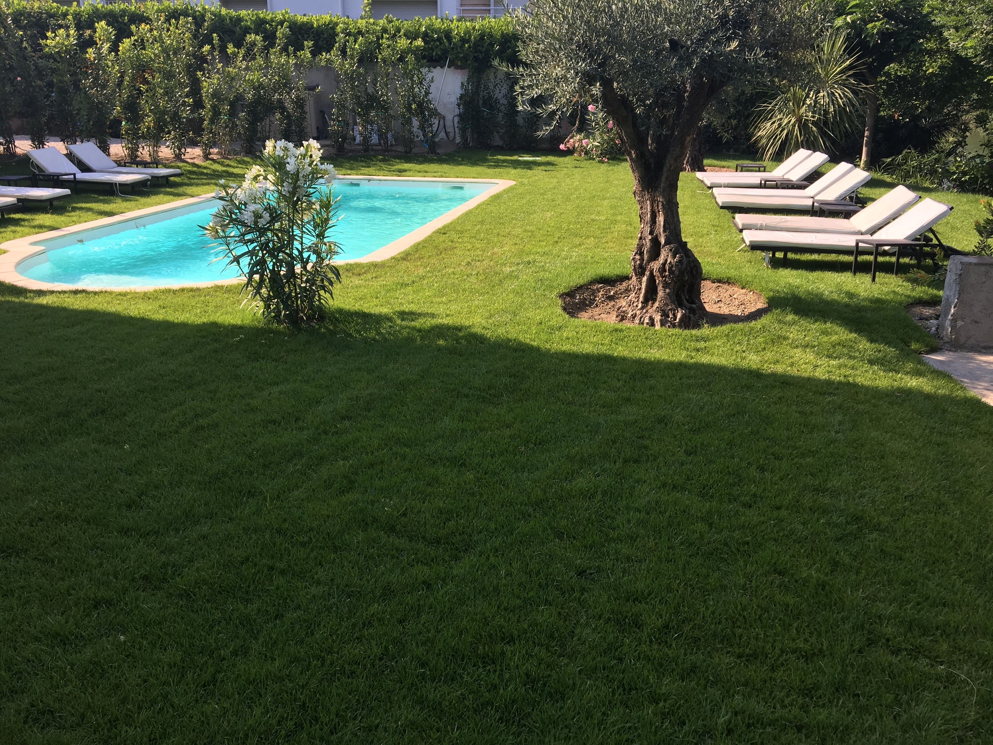Area piscina con un piccolo albero e sedie a sdraio.