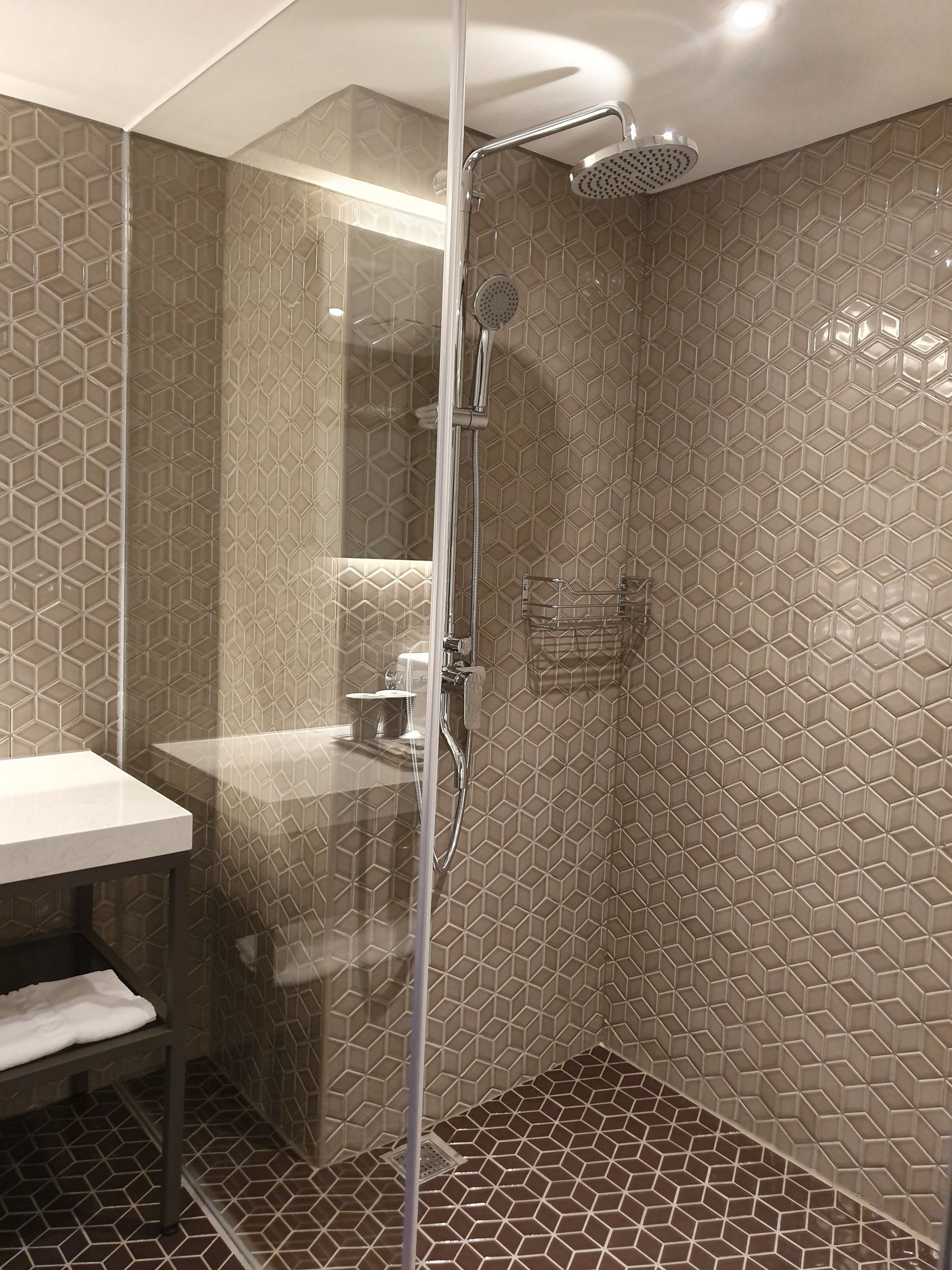 standard double room - no window | bathroom shower