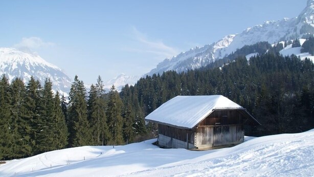 A wooden cabin with a snow-covered roof, surrounded by a snowy landscape and dense forest, with mountains in the background.