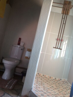 Habitación doble tradicional | Baño | Regadera, amenidades de baño gratuitas, toallas 