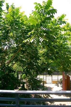 Garden view - Rosa Hotel Gonio (Batumi)