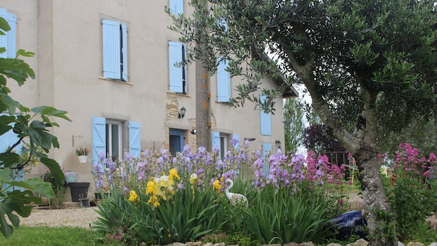 Un edificio con contraventanas azules, un muro de piedra y un jardín con diversas flores.