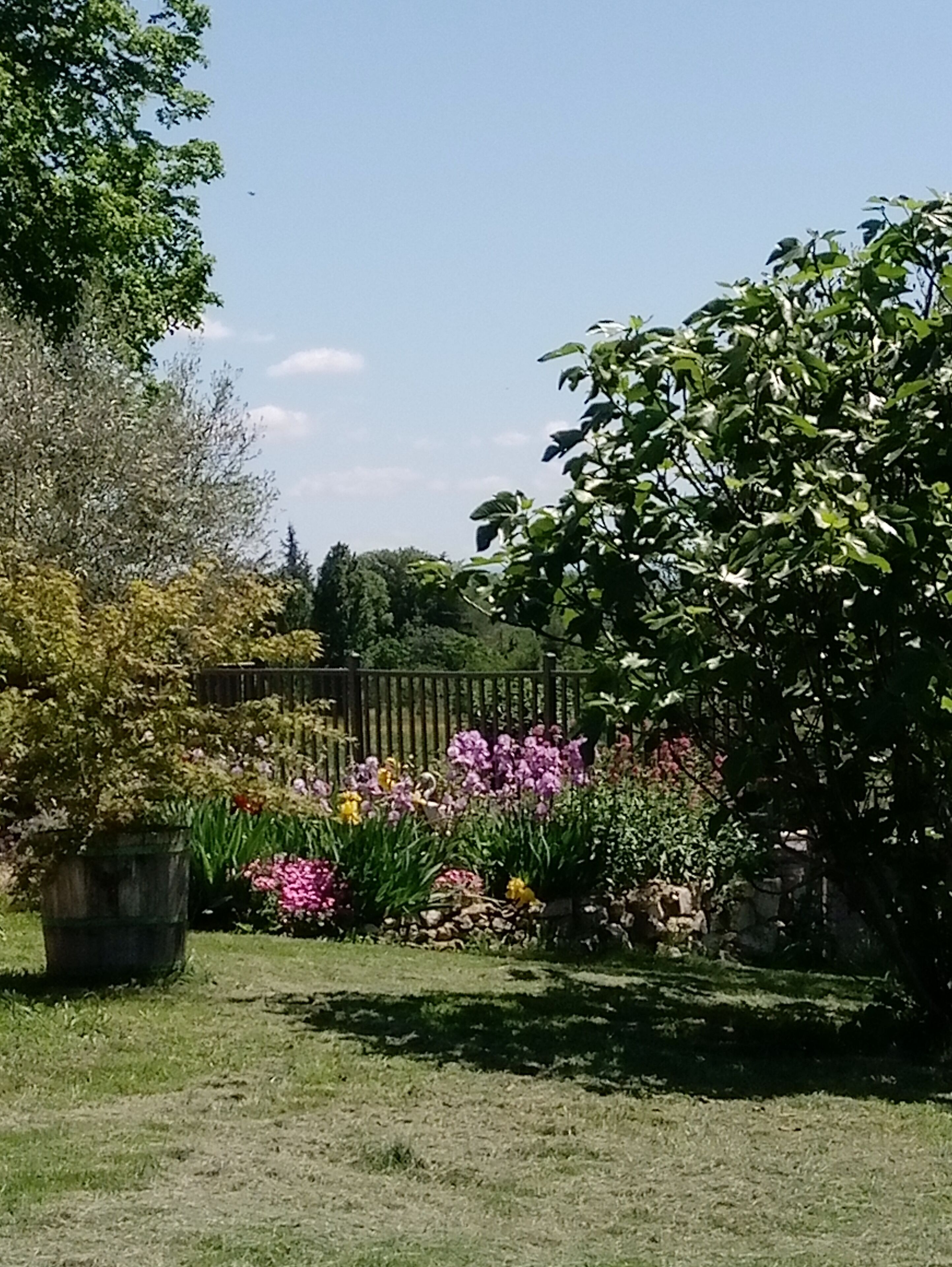Ein Garten mit unterschiedlichen Pflanzen und Blumen, einer Holzlattenzaun und einer Steinmauer.
