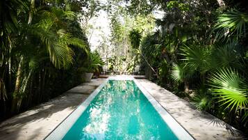 Een zwembad op het dak