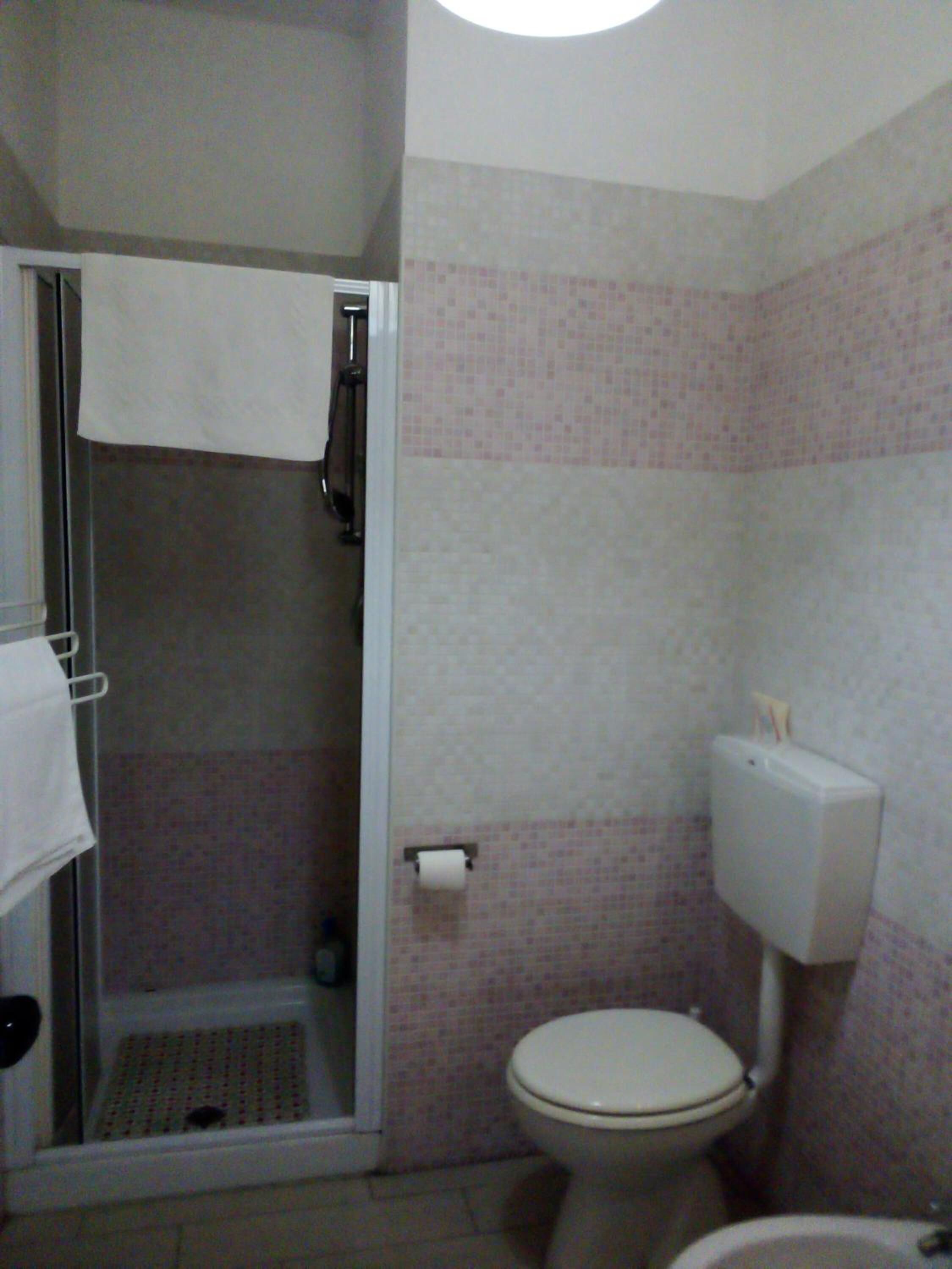 shower, rainfall showerhead, bidet, towels