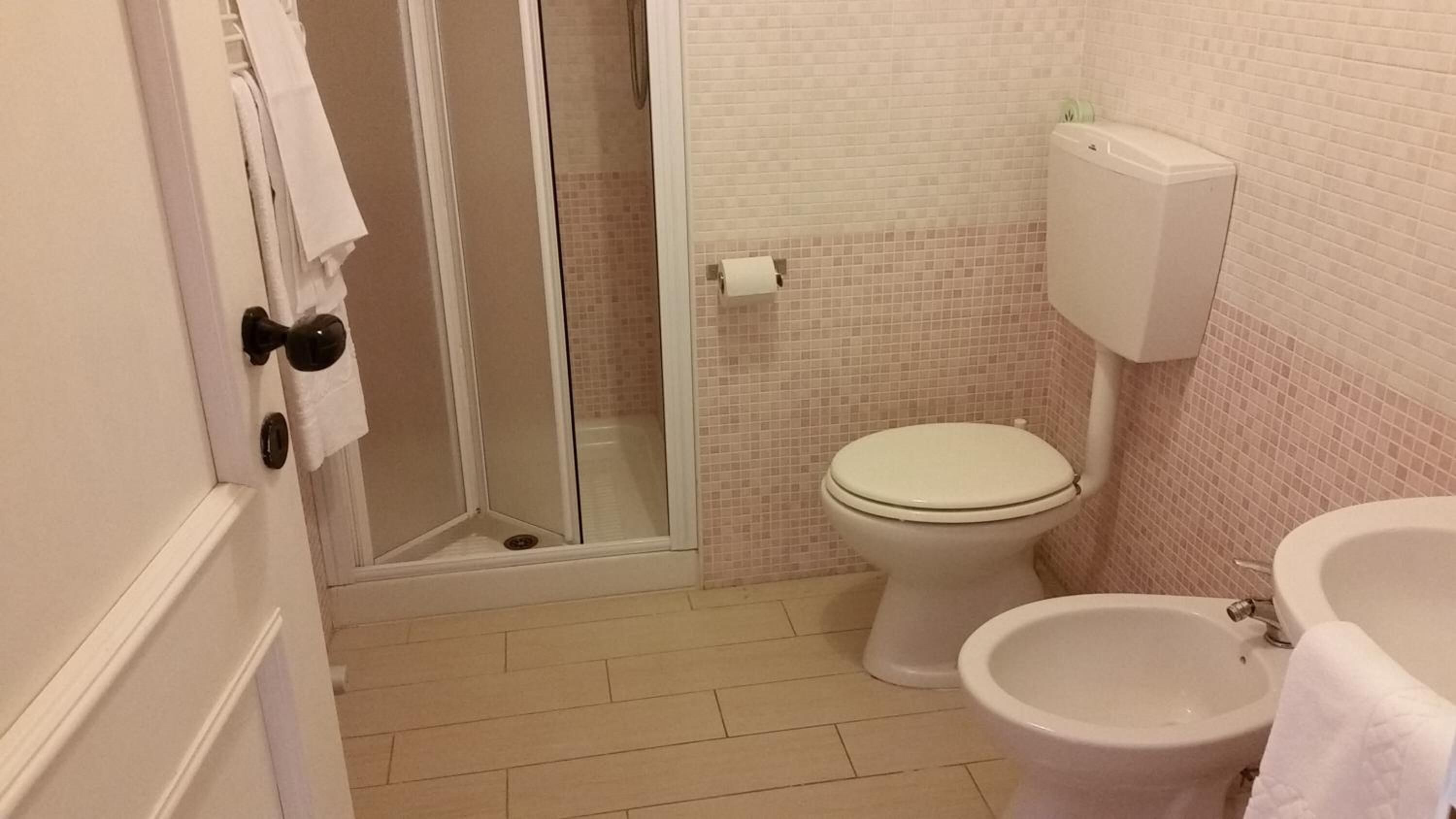 shower, rainfall showerhead, bidet, towels