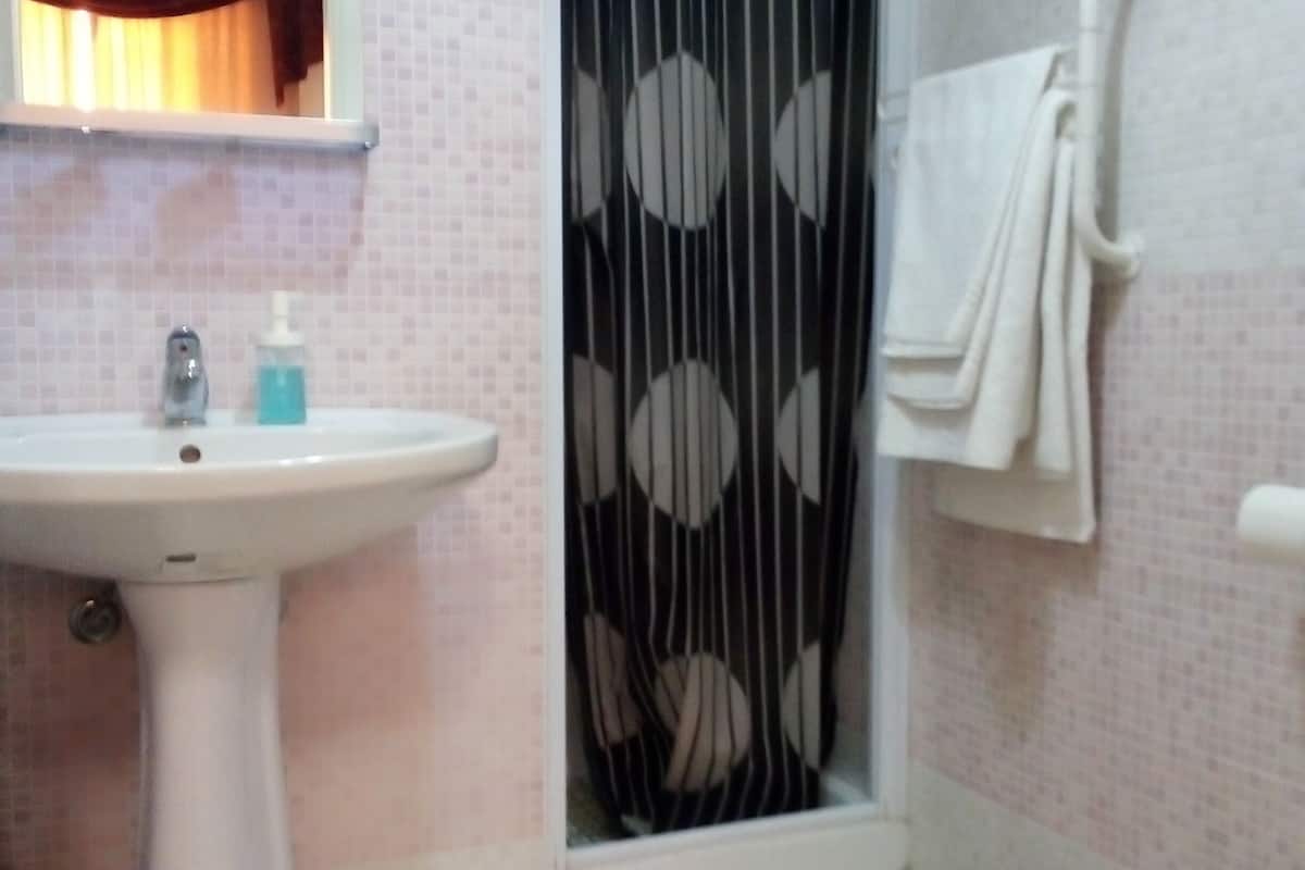 shower, rainfall showerhead, bidet, towels